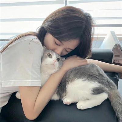 歌舞飞扬